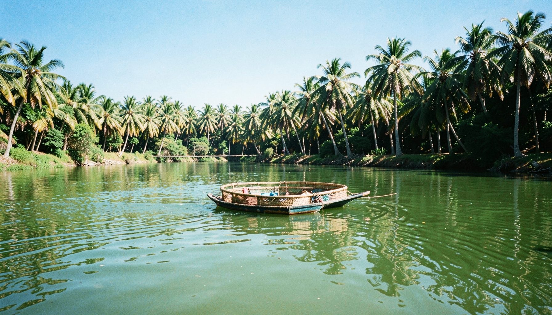 Traditional round basket boats floating on calm green river water with coconut palm groves lining the shore under bright blue sky